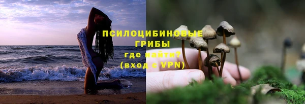 ешки Михайловка