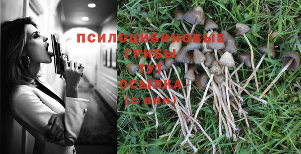ешки Михайловка